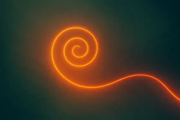 Your Awakening: Root, Rise and Return